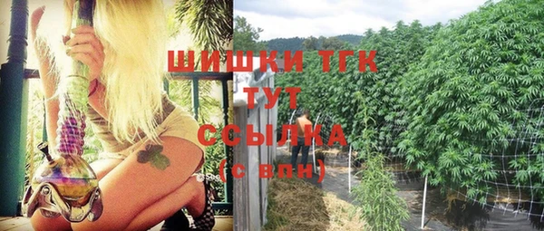 соль ск Абаза