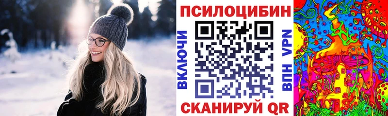 Псилоцибиновые грибы ЛСД  купить закладку  Руза 